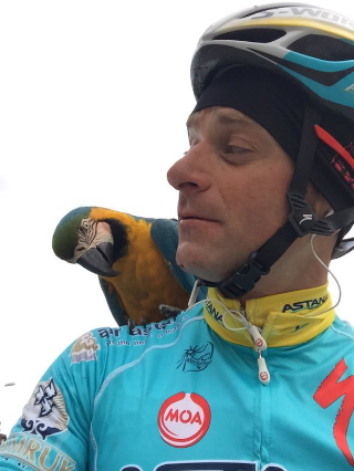 Nel rogo di Osimo è morta la pappagallina Frankie, compagna di allenamento di Scarponi